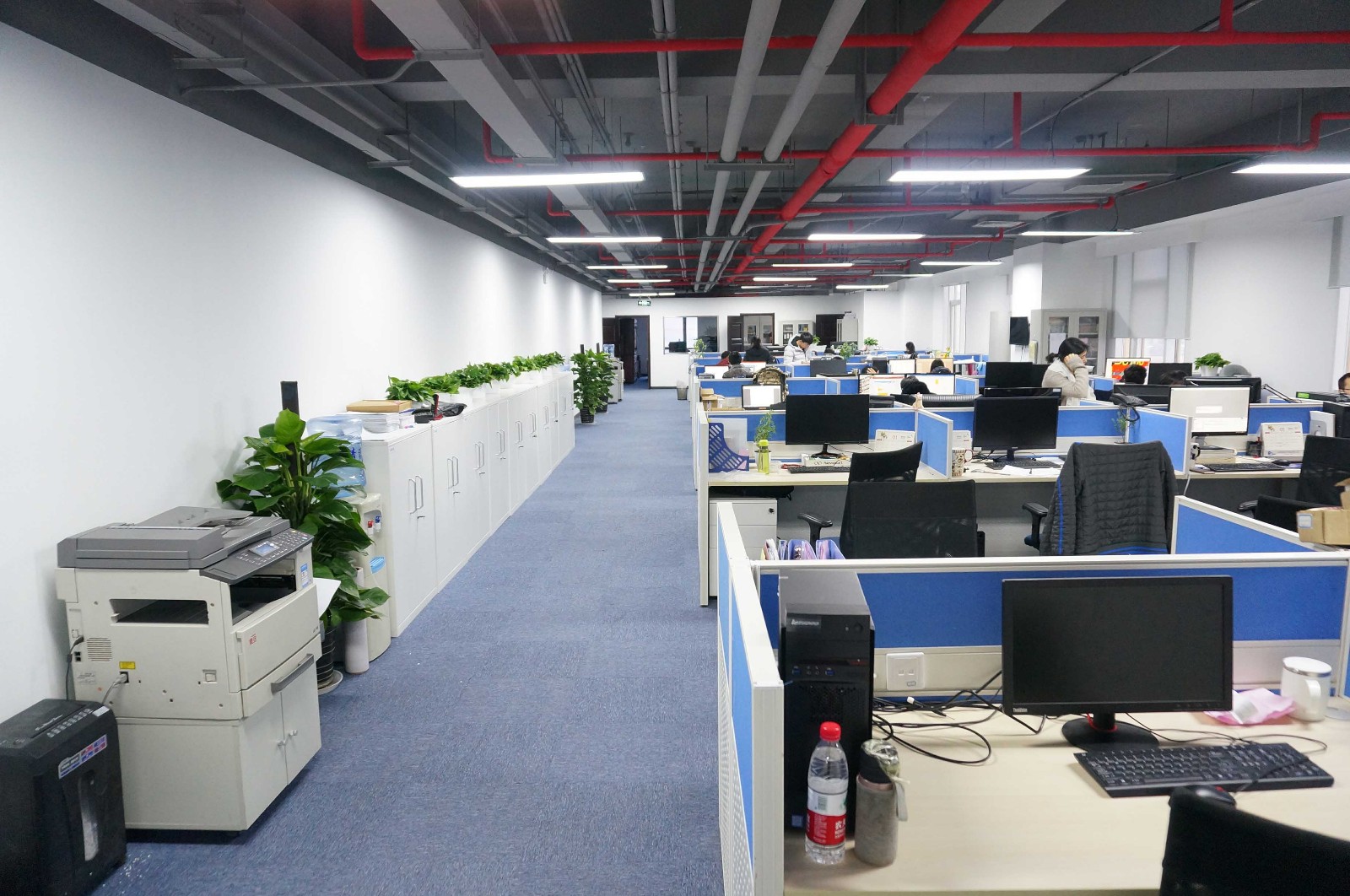 热烈祝贺c7c7娱乐平台官网入口总部燕徙之喜
